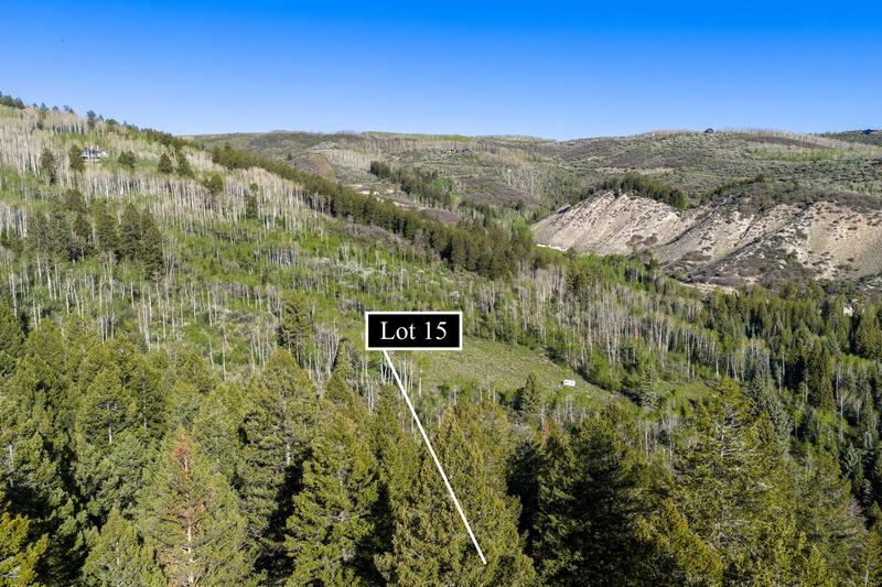 Lot 15 set among aspen and evergreen